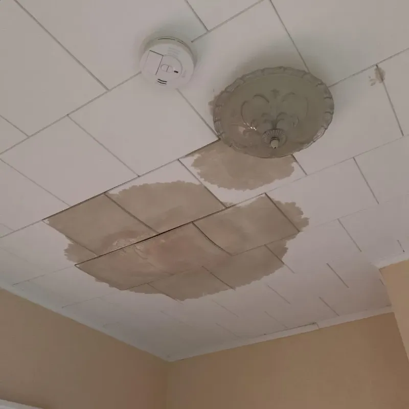 Ceiling Water Damage Repair in Council, ID