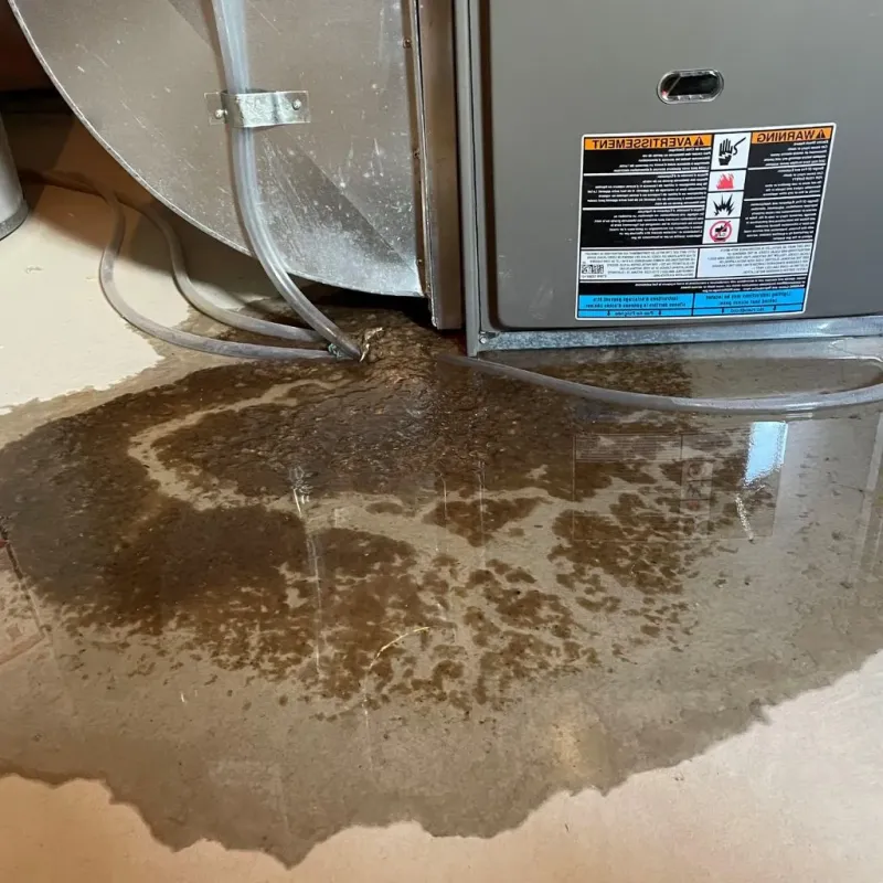 Pipe Burst and Leak Restoration in Council, ID